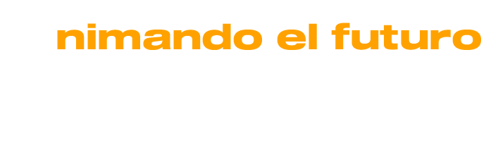 RAWAI Visual Studio
